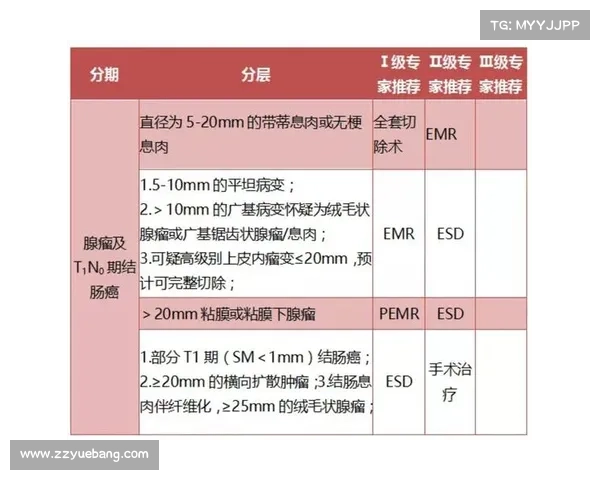 DNF疲劳值消耗的五大要点解析及应对策略全面指南 DNF疲劳值消耗的五大要点解析及应对策略全面指南